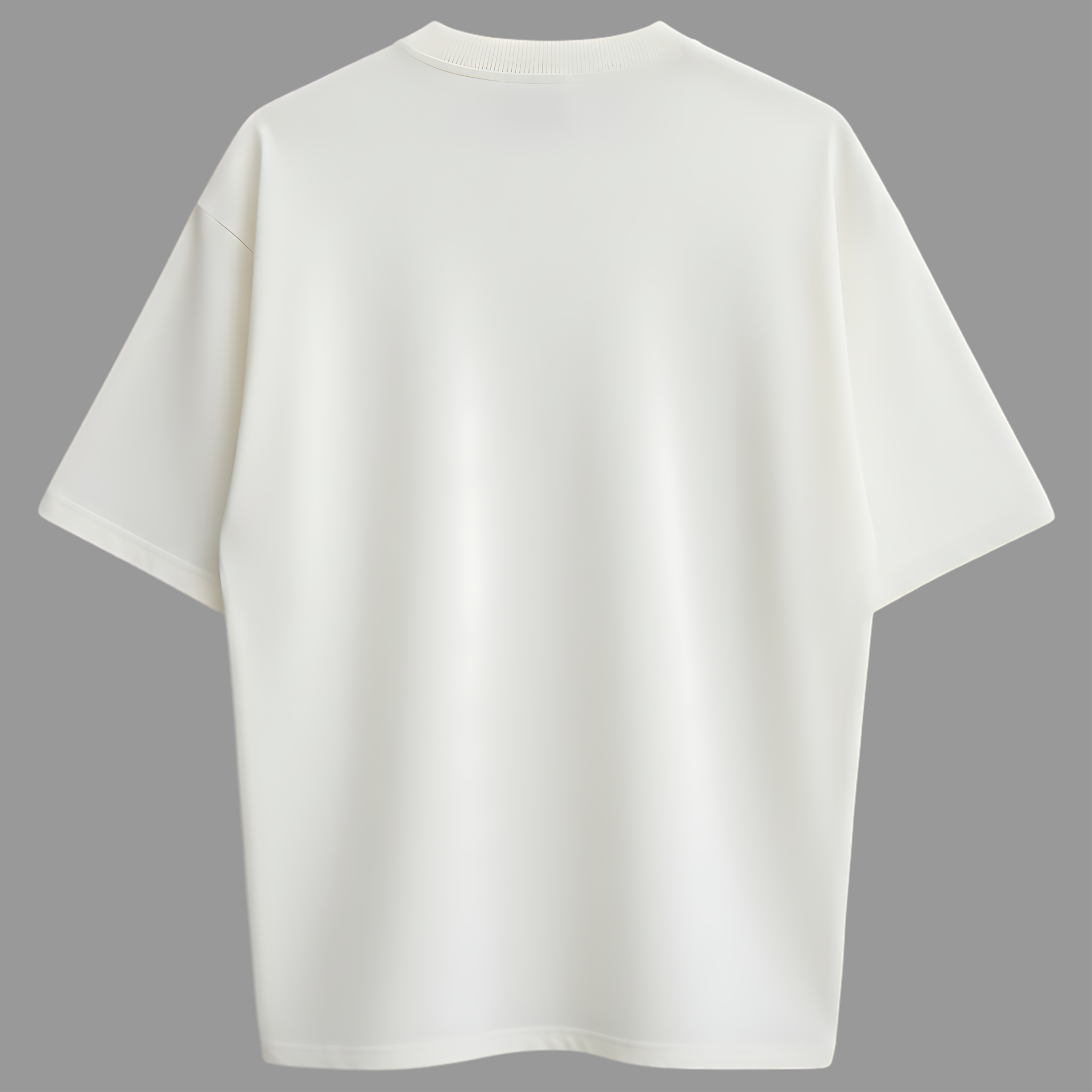 Oversized Minimal Zero Encolhimento